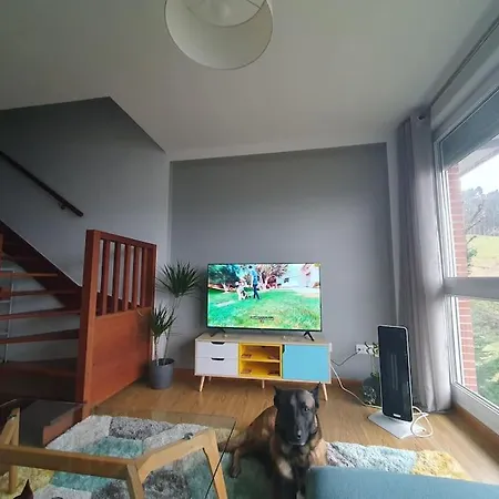 Nuevo Apartamento De Dos Plantas Renedo de Pielagos Exterior photo