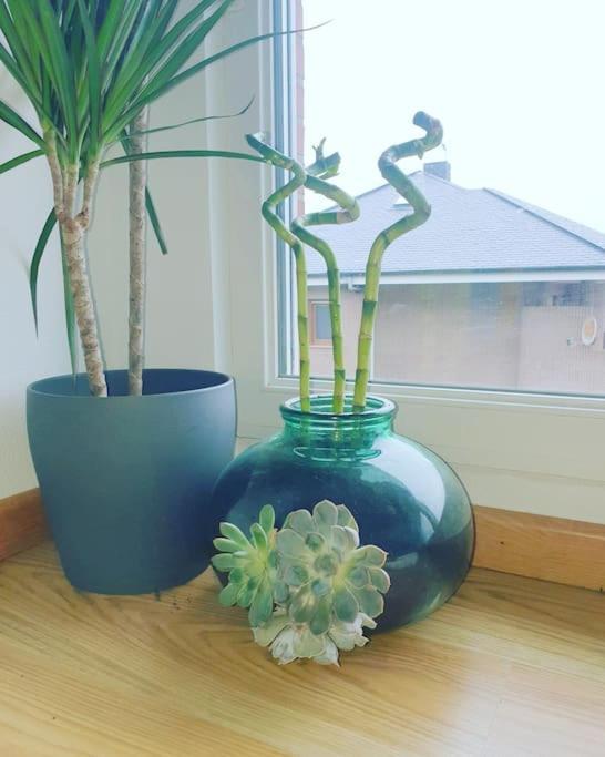 Nuevo De Dos Plantas *